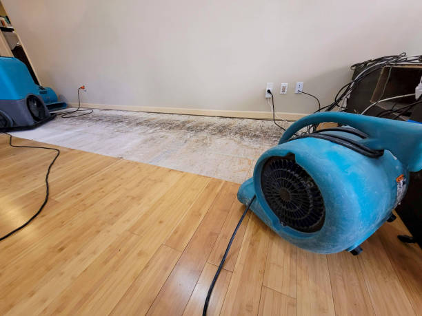Professional Emergency Water Damage technician working in Lithopolis, OH